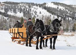 Guests enjoying a sleigh ride in the winter!